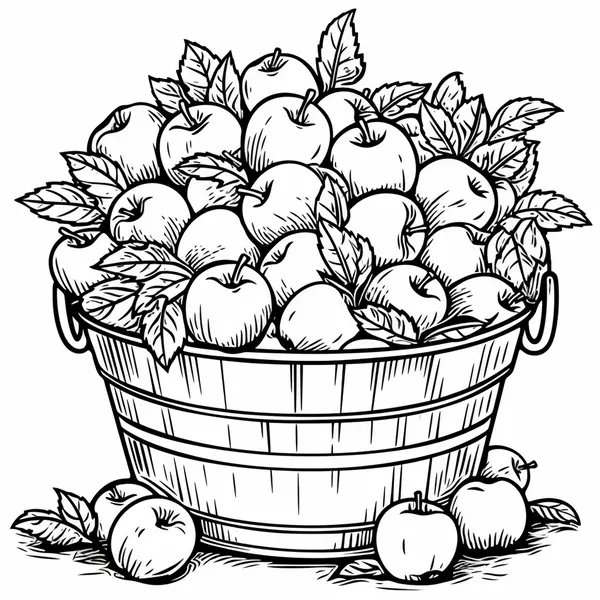 Basket Full Of Apples