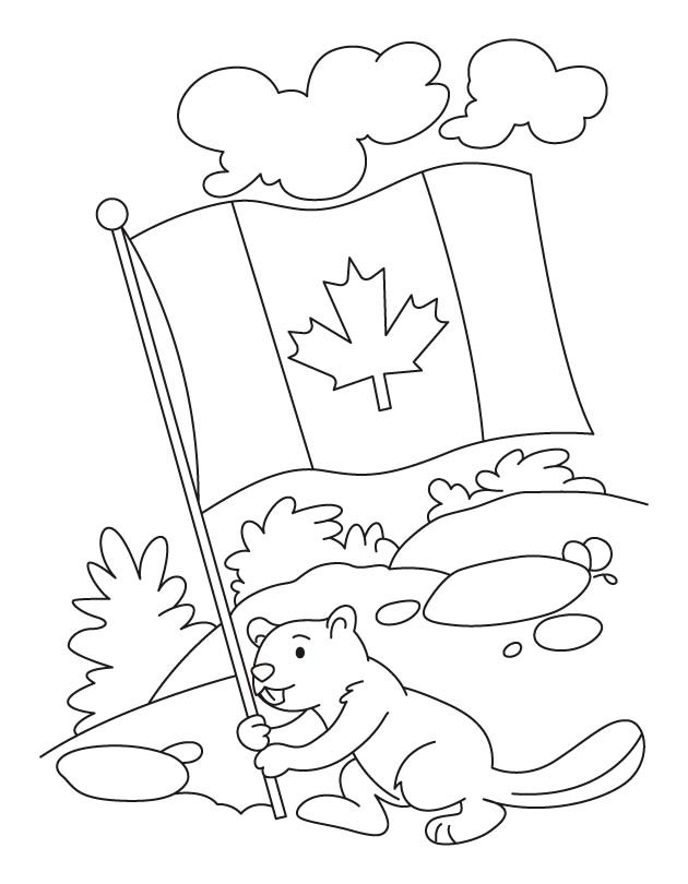 Beaver holder canadisk flag