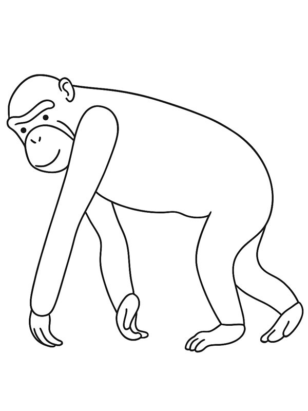 Małpa Bonobo
