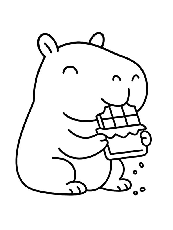 Capybara eats chocolate