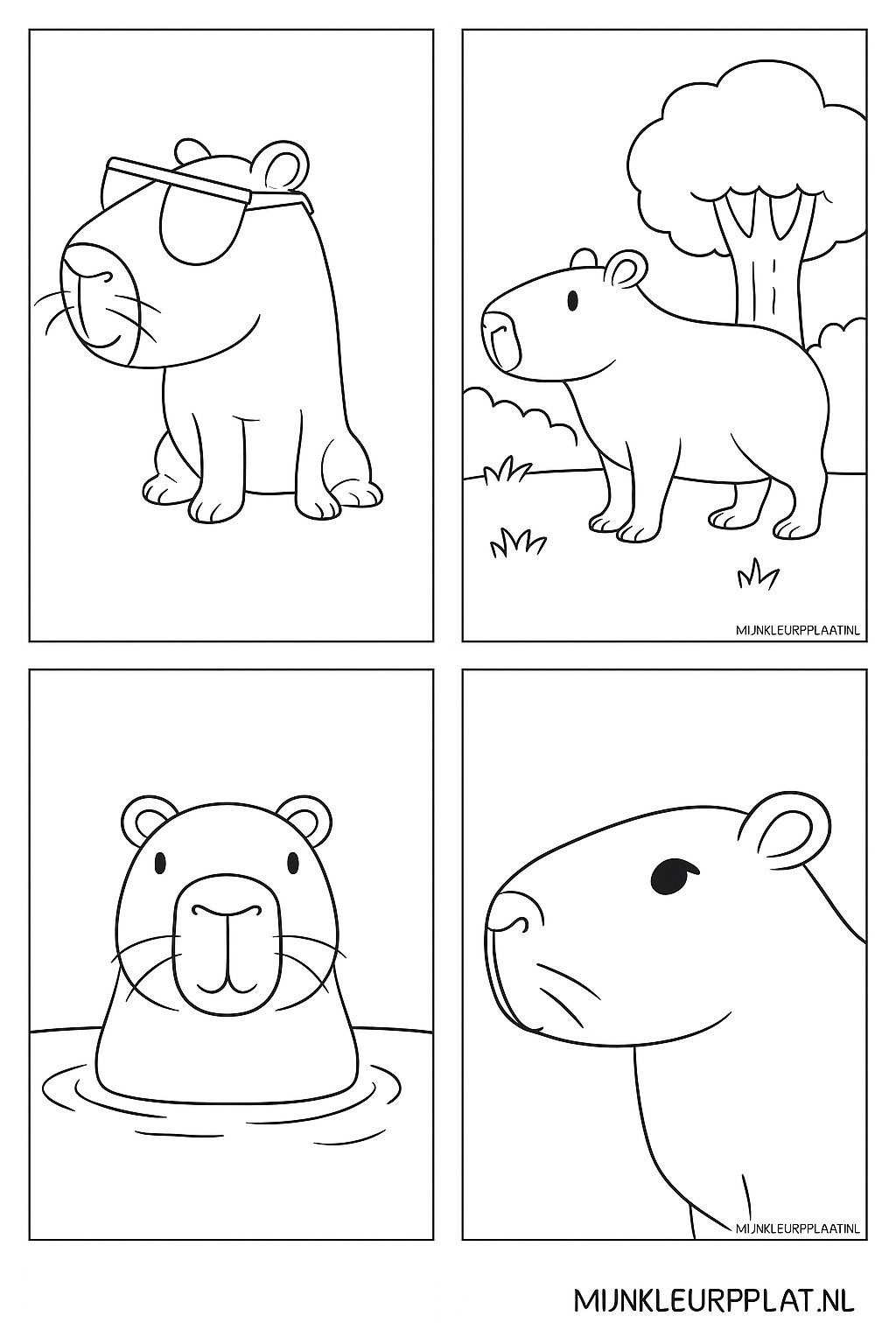 Capybara