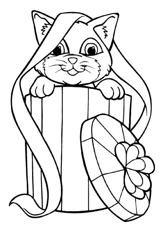 Kissan lahjalaatikko