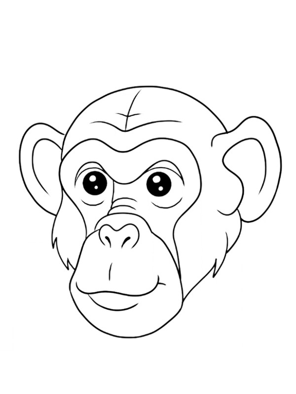 Małpa z twarzą szympansa