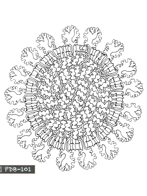 Coronavirus-mandala