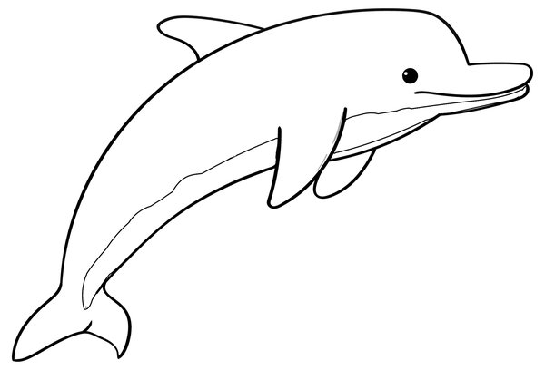 Suloinen Dolphin