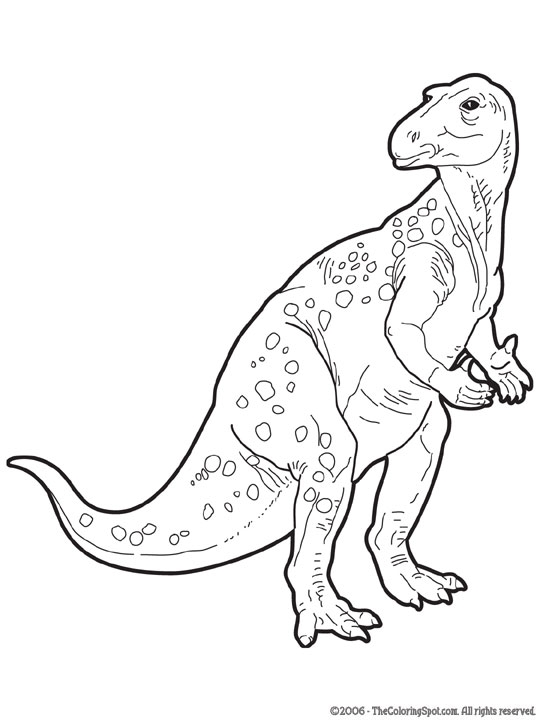 Dinozaur