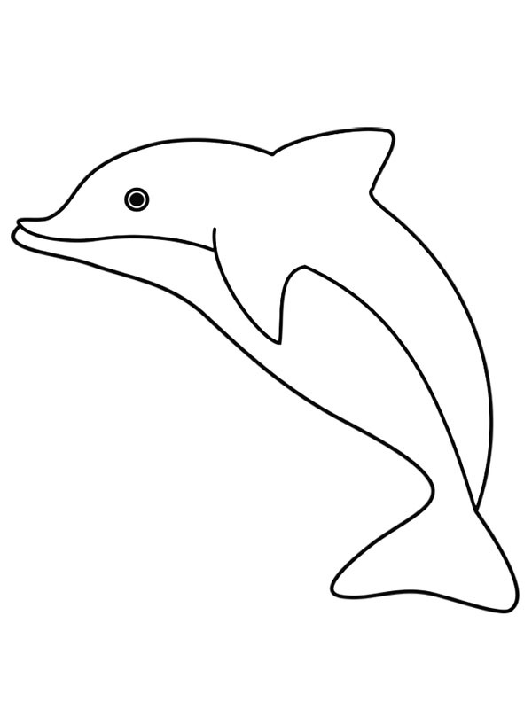 Dolphin