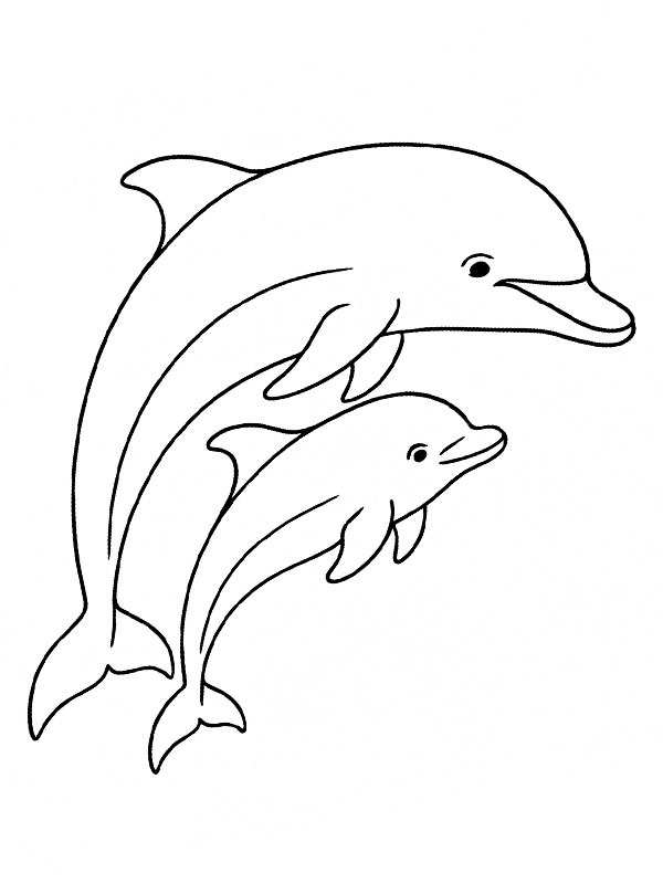 Dolfijn met baby