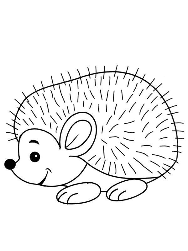 Hedgehog with spines