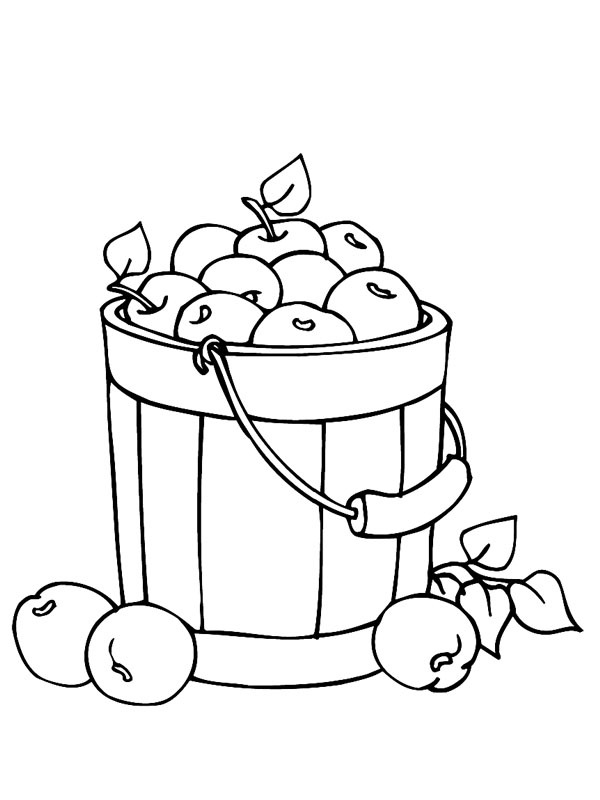 Bucket with apples