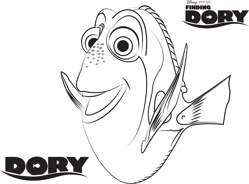 Finding-dory