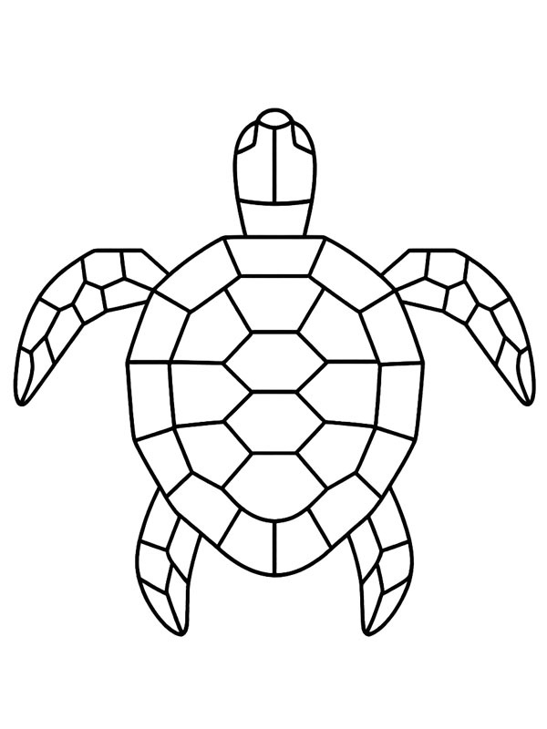 Geometric turtle