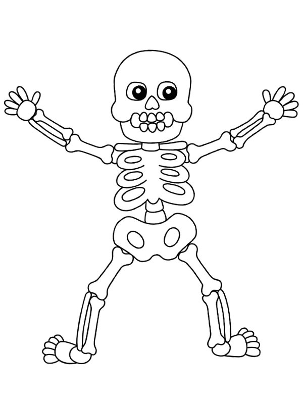 Halloween Skeleton (ihminen)