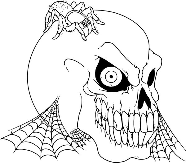 Halloween Skull Spider