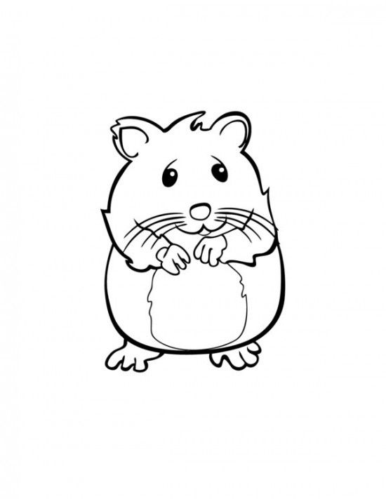 Hamsteri