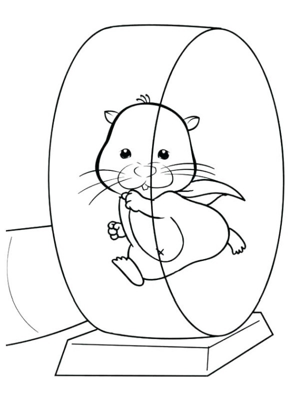 Hamster on the wheel