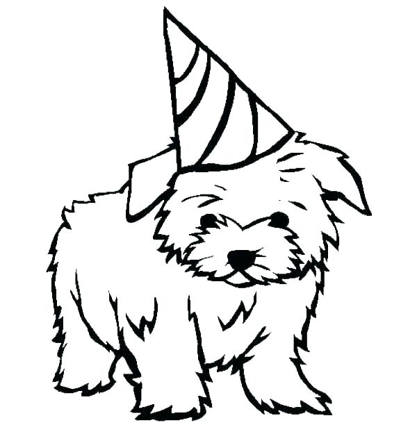 Hond