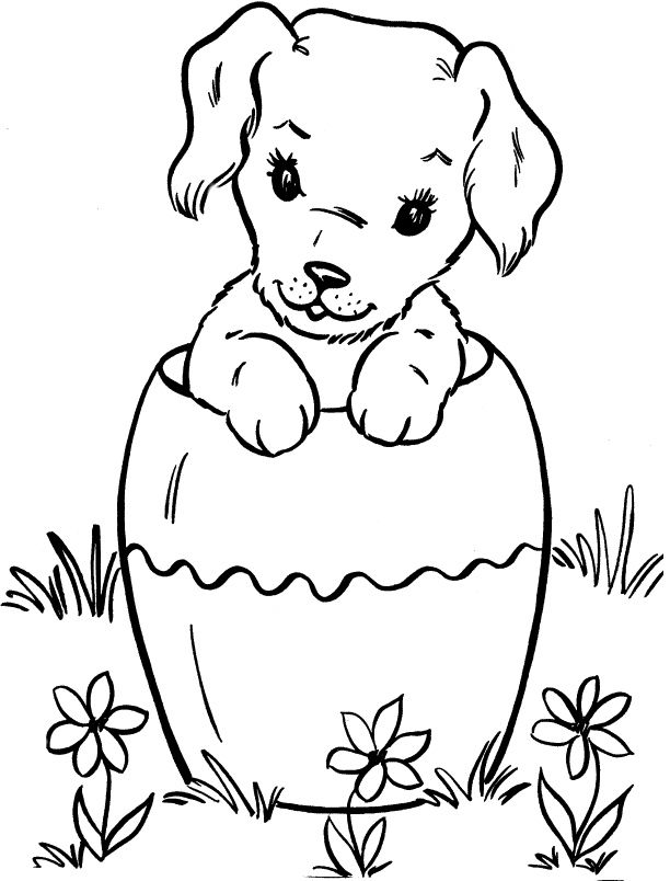 Hond