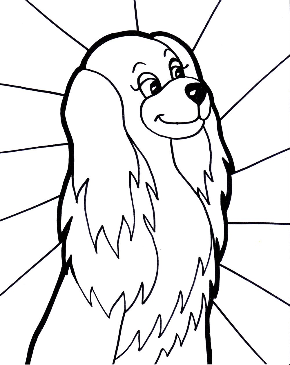 Hond