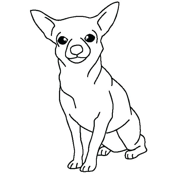 Hond
