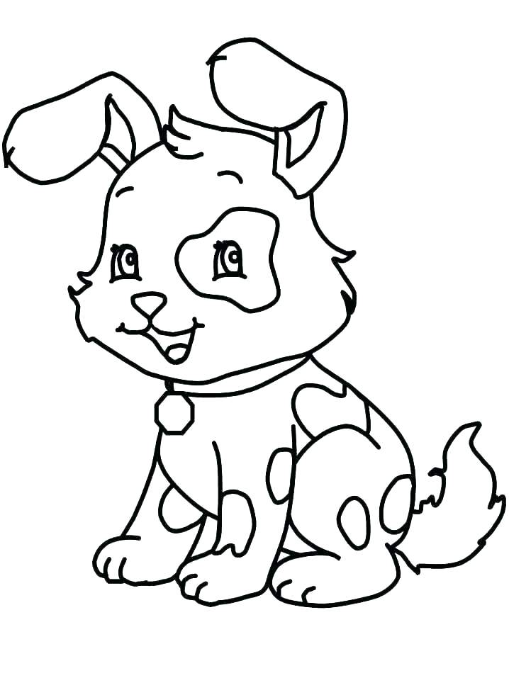 Hond