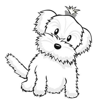 Hond