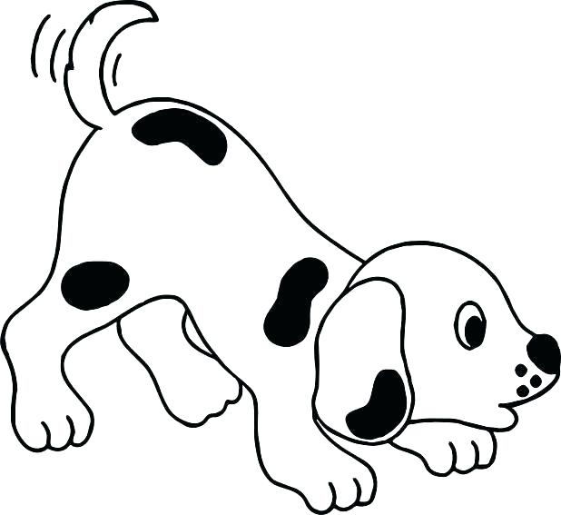 Hond