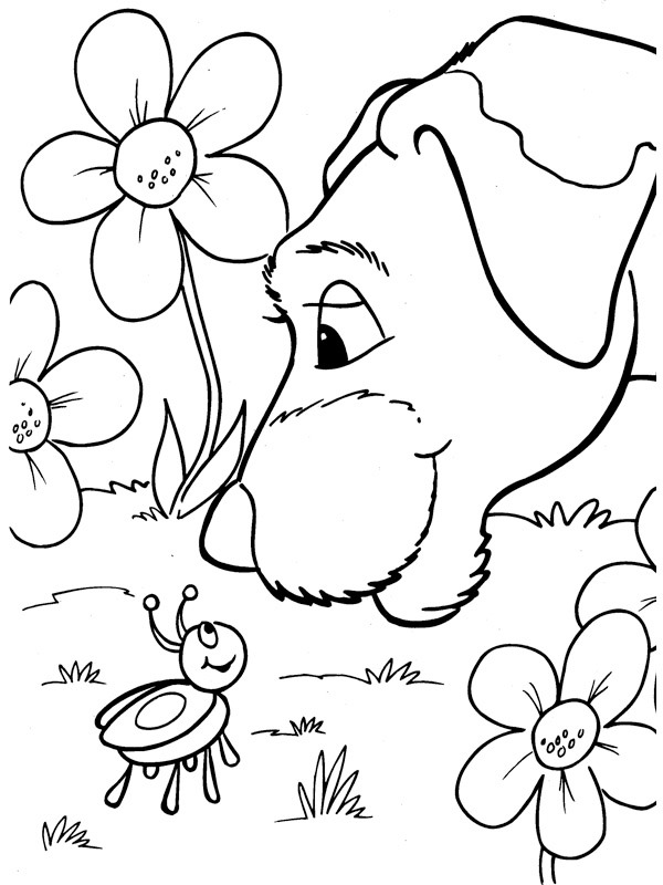 Koira ja leppäkerttu