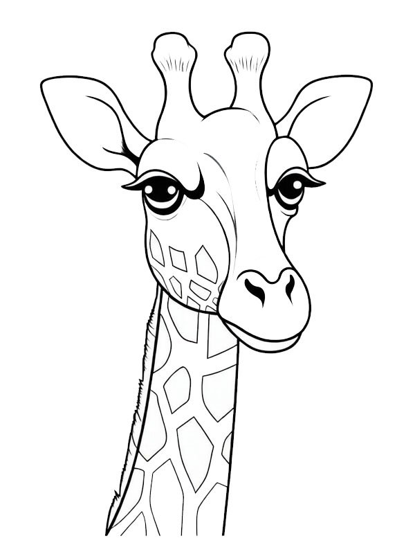 Głowa żyrafa