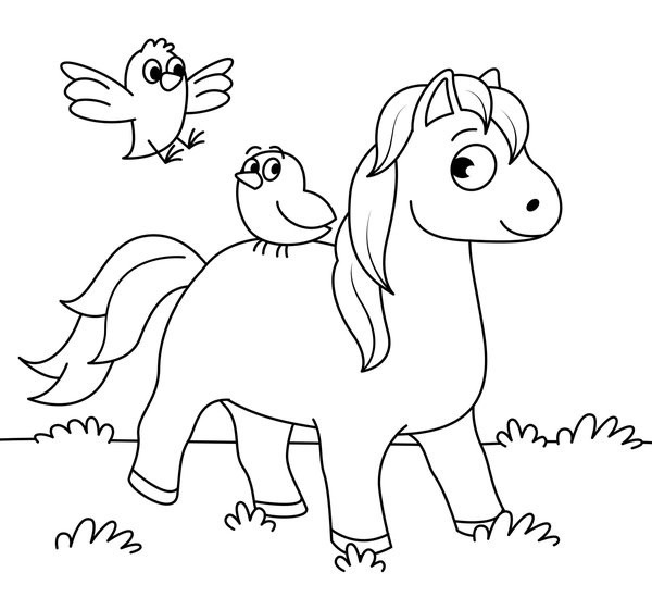 Horse Birds