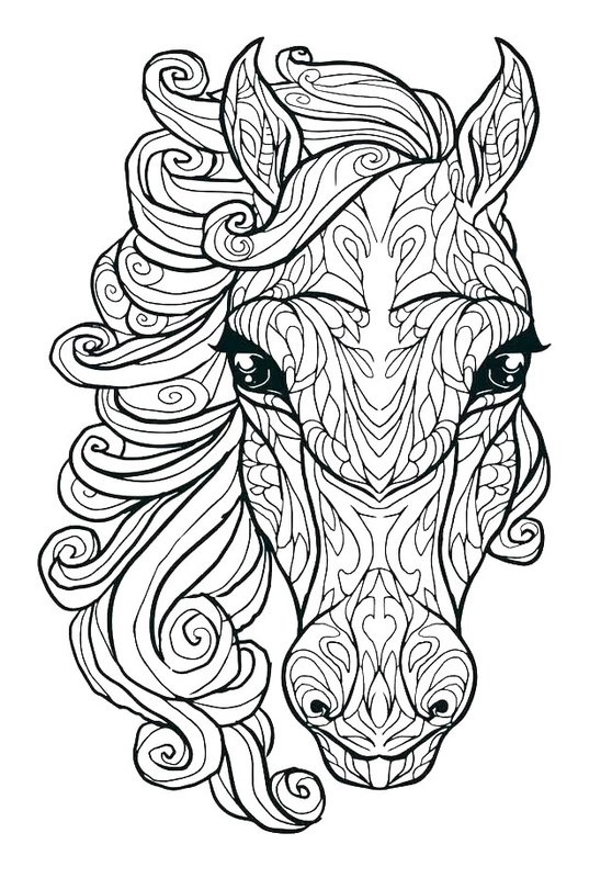 Horse Head Detailed