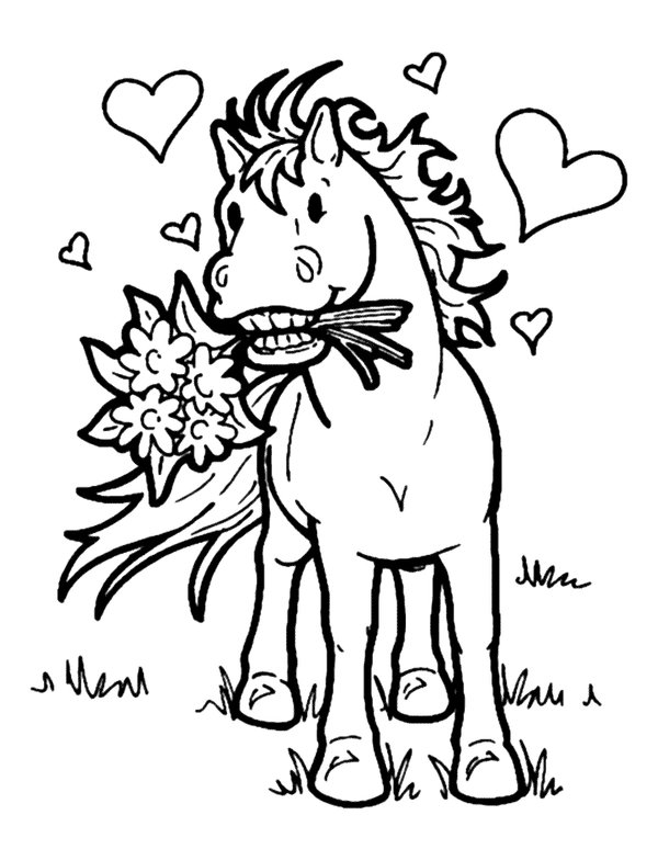 Amour de cheval