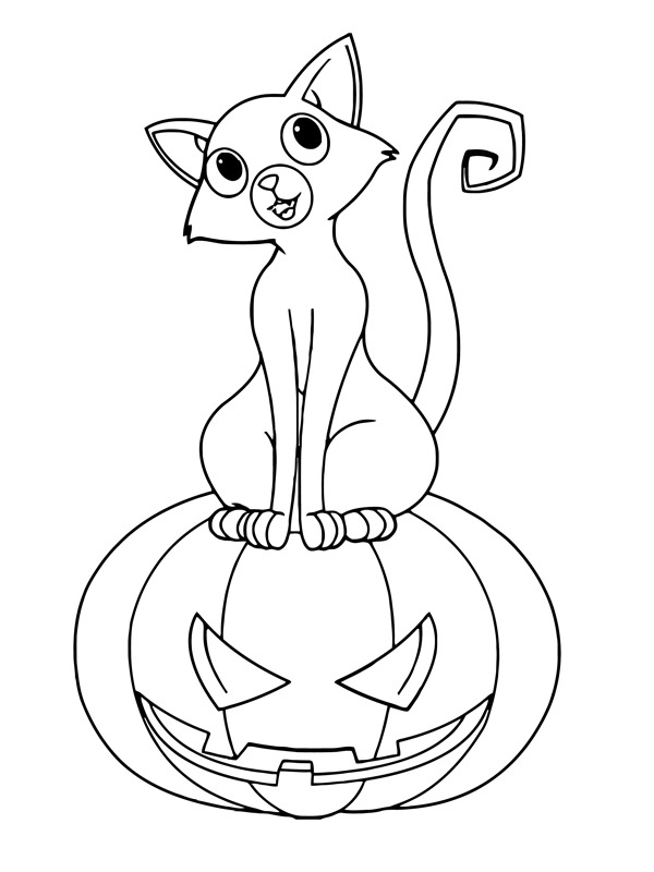 Kissa Halloween-kurpitsan päällä