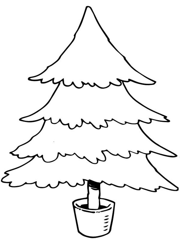 Albero di Natale in vaso