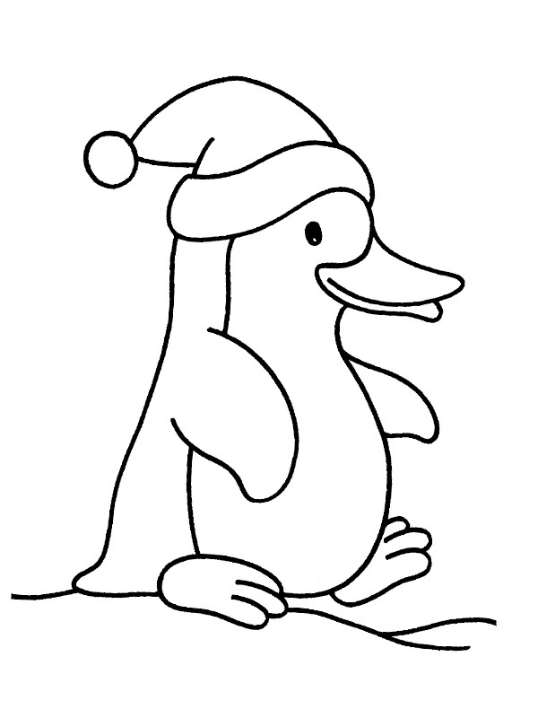 Pinguino di Natale