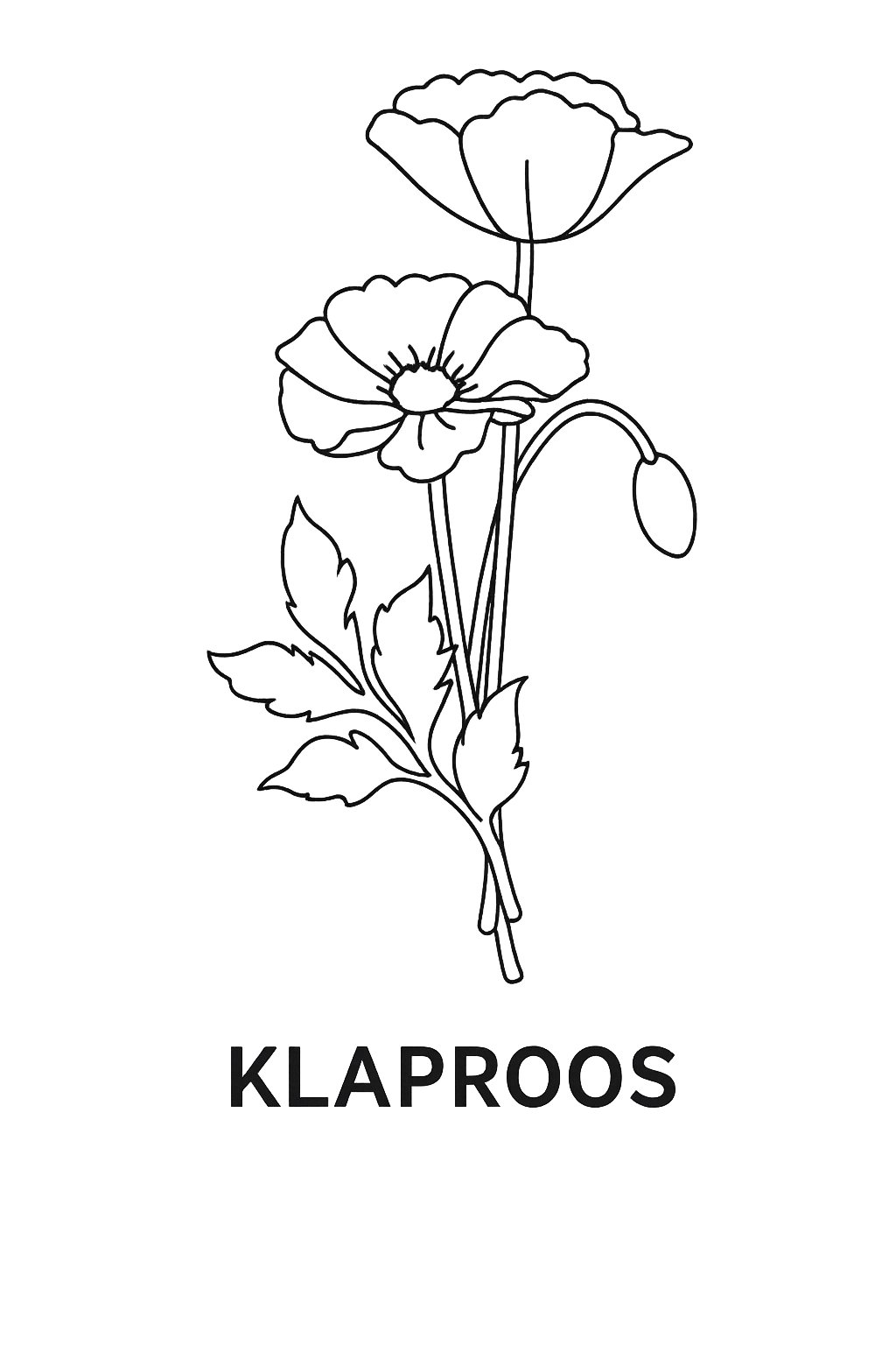 Klaproos