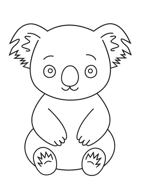 Koala