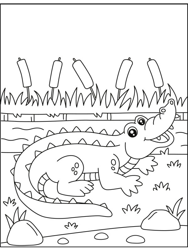 Krokodyl otworzył usta