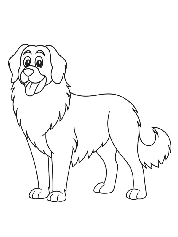 Leonberger