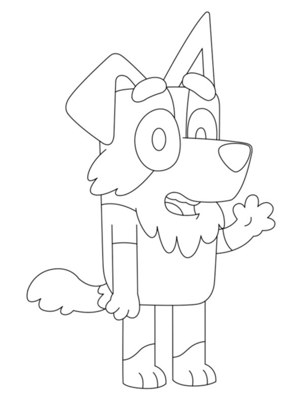 Mackenzie bordercollie