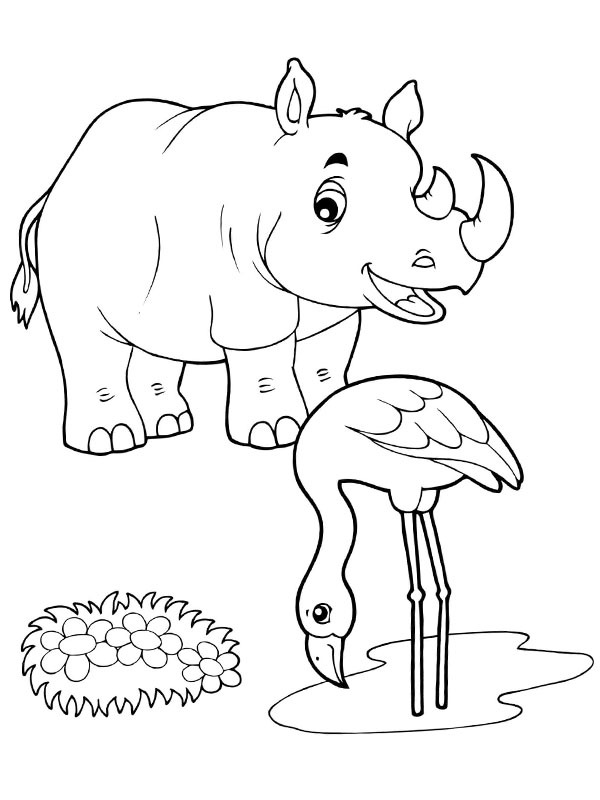 Nosorożec i Flaming