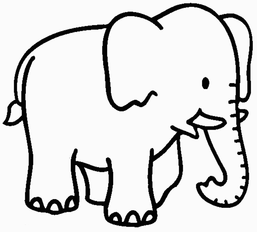 Elefant