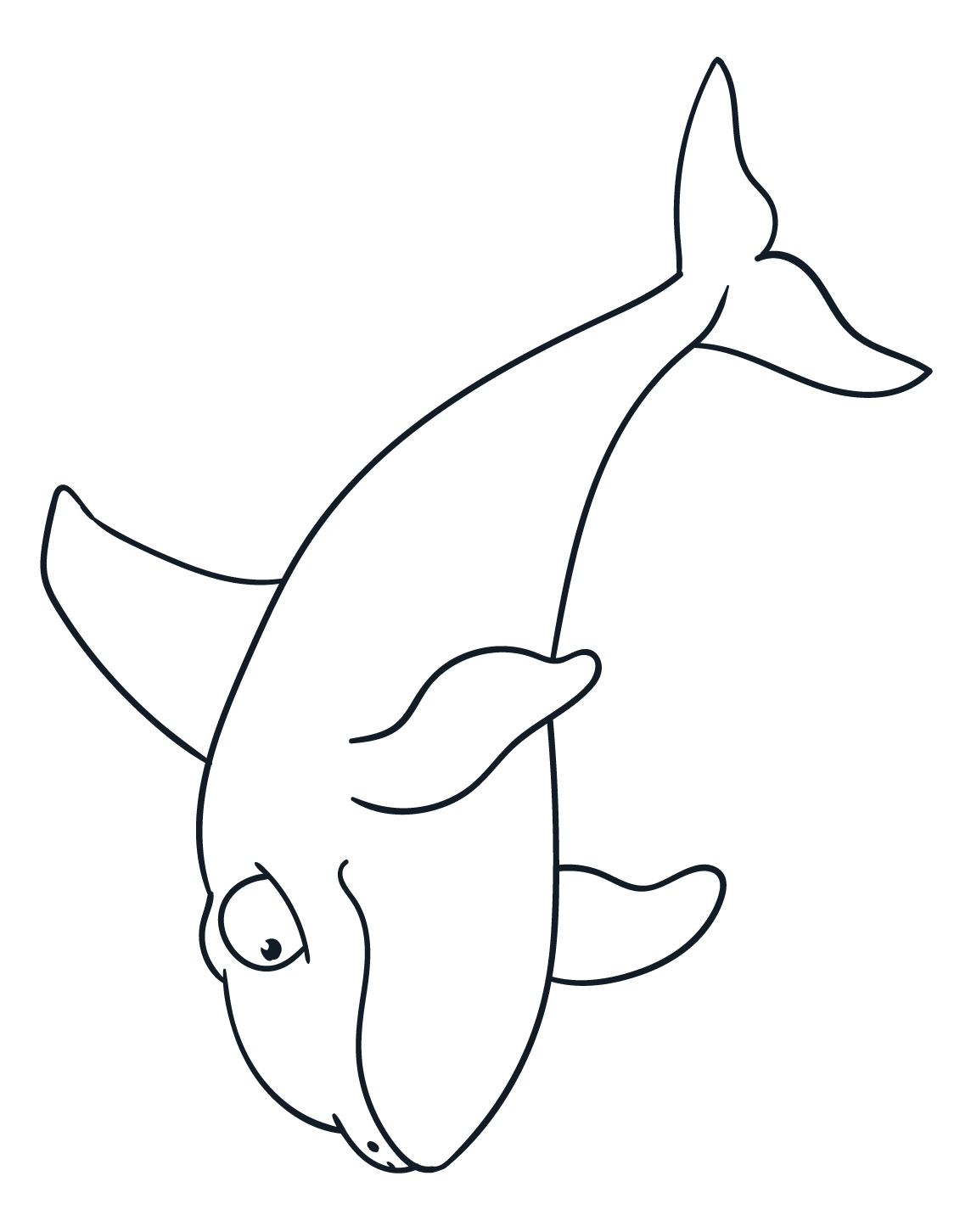 Orcas