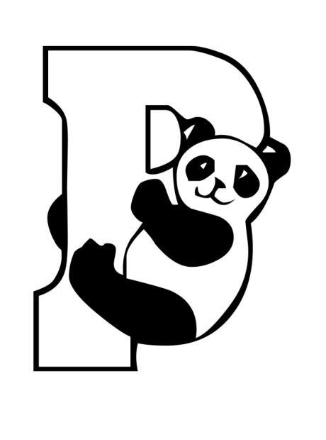 Miś panda