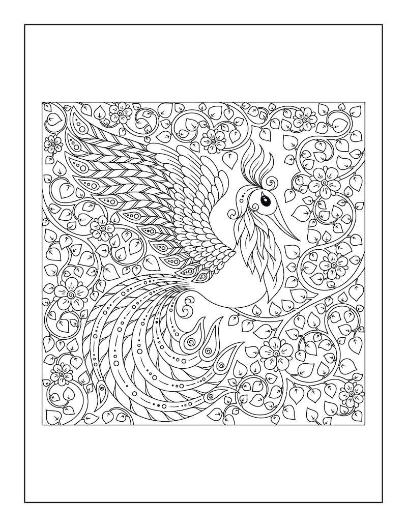 Paw barwiący dorosłych