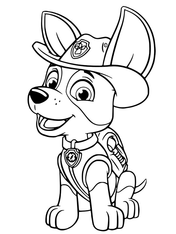 Paw Patrol Moduł śledzący