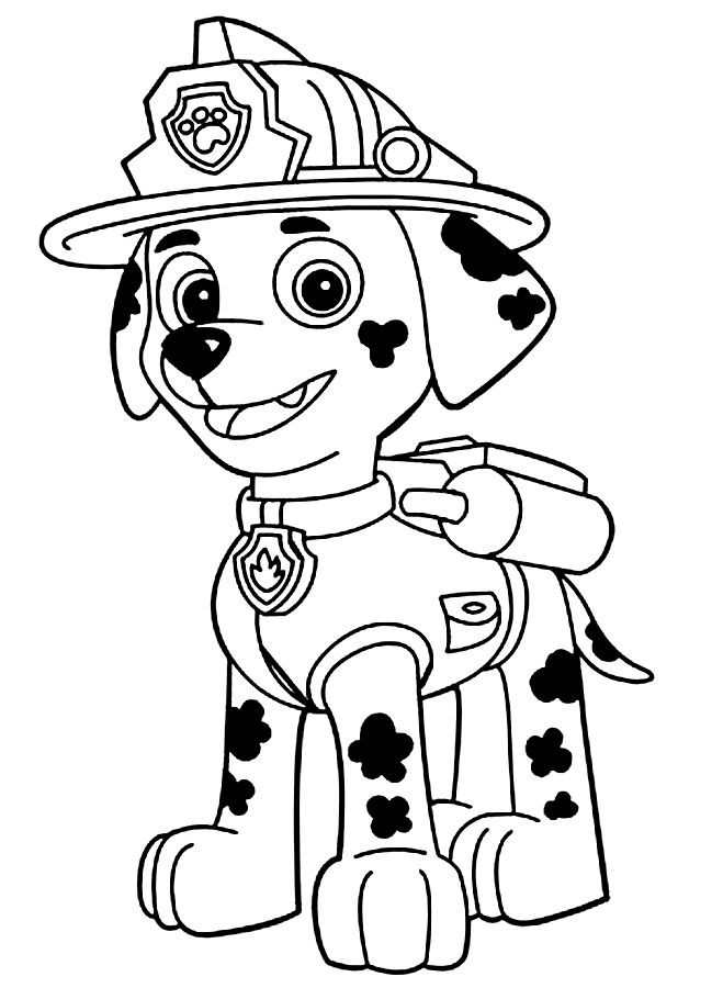 Paw-patrol13