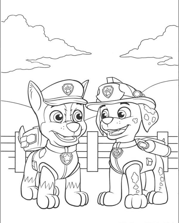 Paw-patrol17
