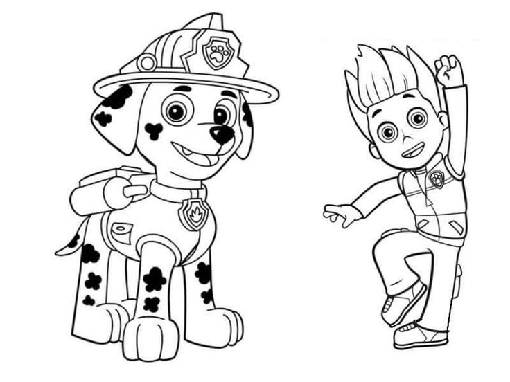 Paw-patrol19