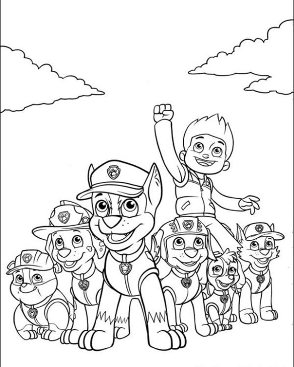 Paw-patrol20